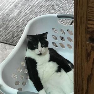 Meet your Posher, Patti